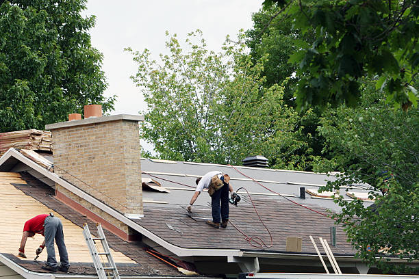 Quick and Trustworthy Emergency Roof Repair Services in Egypt, AL